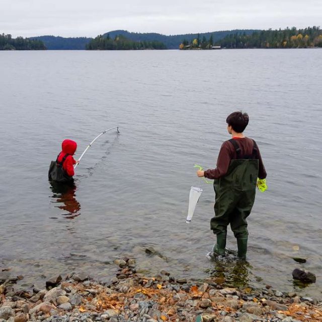 Plankton nets were used to collect samples of microorganisms from the lake to examine under a microscope.